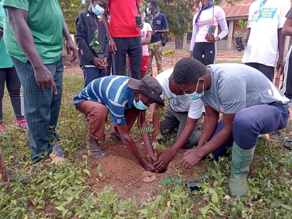 climate action - tree planting