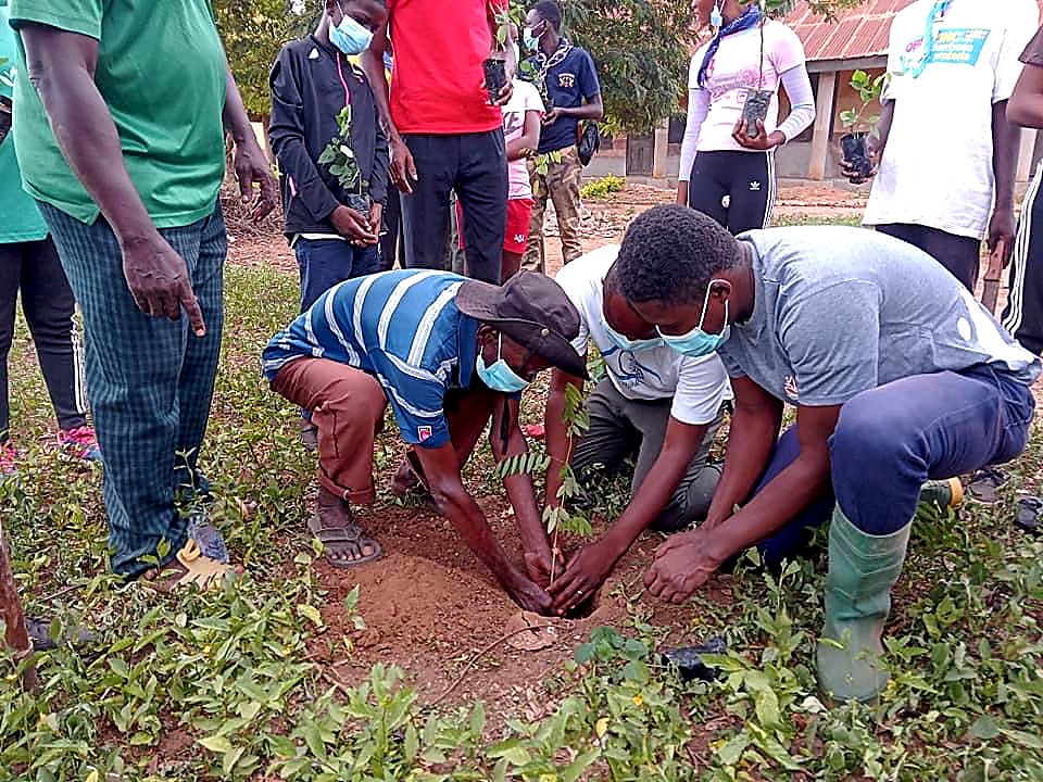 Tree planting community action